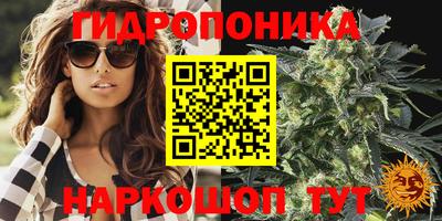 прущая мука Новодвинск